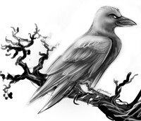 Vixed Commission