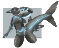Sharkify
