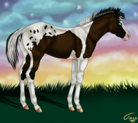 Fake It filly