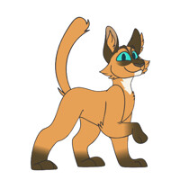Ready for Action! [Animation]