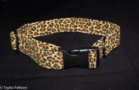 Leopard Print Collar