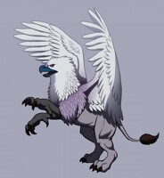 Snowy Gryphon