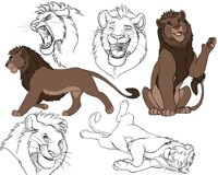 Sketch page - Zuberi