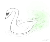 Swan Farts