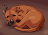 Whatcha looking at pup?