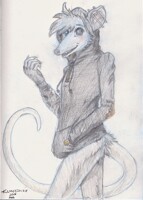 Sketch Commission of an opossum