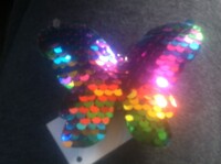 Colour changing butterfly