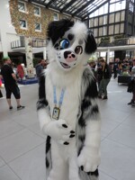 Eurofurence 25 / Con Day 1 / Photo 18