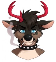 Peter Bolton Badge Nameless