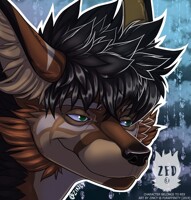 [C] Kaydo