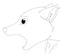 Fox lineart