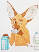 More milk