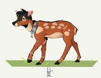 Sweet Deer