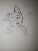 pocky wolf