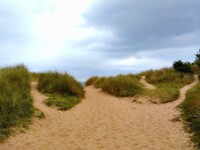Jurassic Coastline