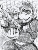 Banjo DK