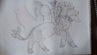 Experiments with ferals