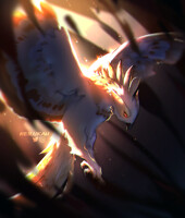 On wings of light