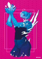 Transform version 2