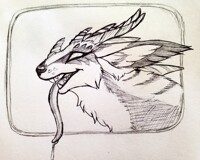 Monster badger dragon