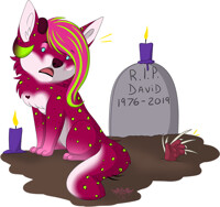 YCH :: VincentCastiel