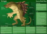 [Personal] Tortugan - Species Sheet