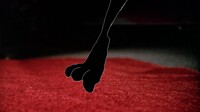 Pepé Le Pew Red Carpet Touch 2