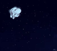 lost
