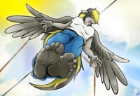 *COMISSION* - DanyNova
