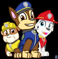 The PAW Patrol