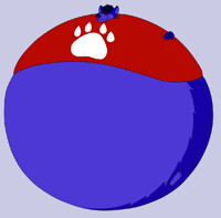 The Biggest Blueberry Around!