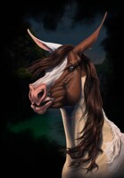 🌙 S K O G T E M B E R 🌙