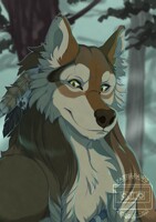 Commission: Kenai996