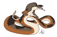 SssSSSssss