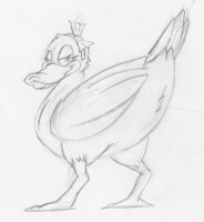 Duck Butt