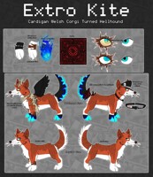 Extro Reference 2019