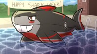 Pool Shark Week