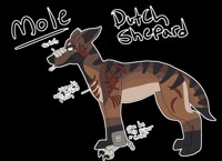 Quick Mole Reference 2019