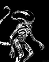 Xenomorph Sketch