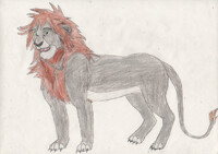 Sora turns into a Lion 2/2