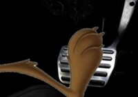 Wile E. Coyote Pedal Press 11