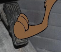 Wile E. Coyote Pedal Press 15