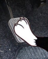 Sylvester The Cat Pedal Press 25