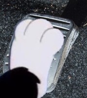 Sylvester The Cat Pedal Press 30