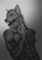 Doodle