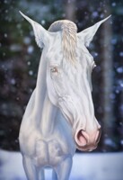 beautiful horse