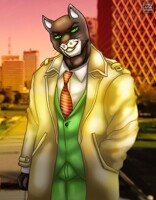 Mr. Blacksad