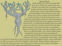 09-16-19 [Gegun: Boxtol Bush]