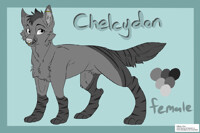 Chelcydon Ref
