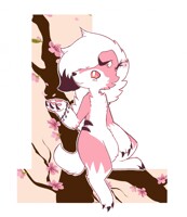 Prelude in pink